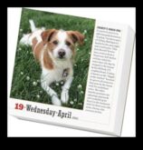 Calendarul canin a continuat să sărbătorească câinii în fiecare lună