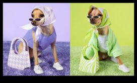 Canine Couturiers Designeri care creează modă elegantă pentru câini