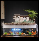 Fish Tank Zen a continuat să îmbunătățească iluminarea acvariului pentru liniște