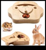 Idei de îmbogățire a hamsterilor A continuat crearea zonelor de joacă interactive