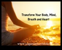 Respirația esenței lui Zen Yoga în practica meditației